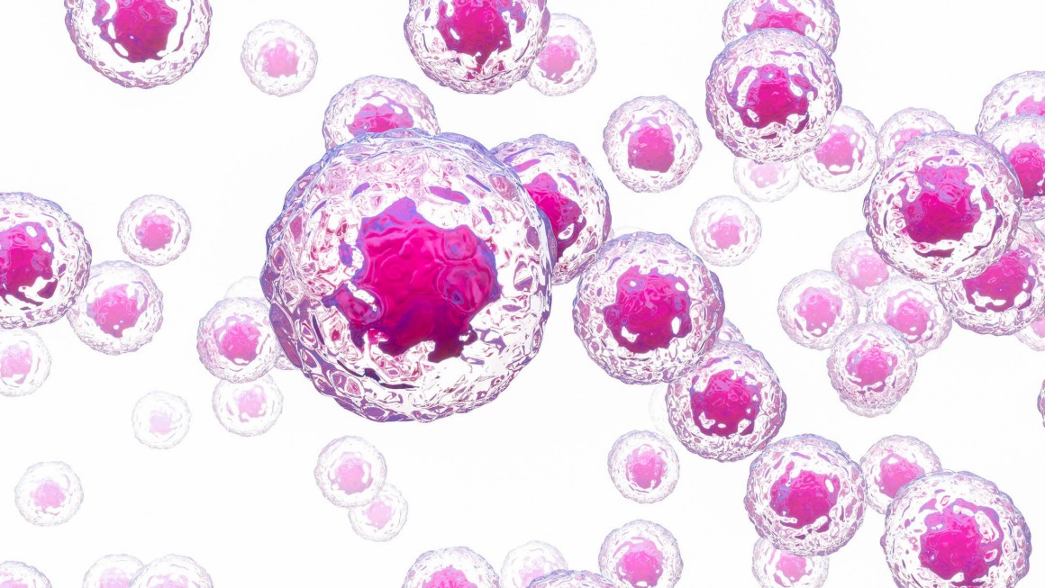 10. Cholesterol_a