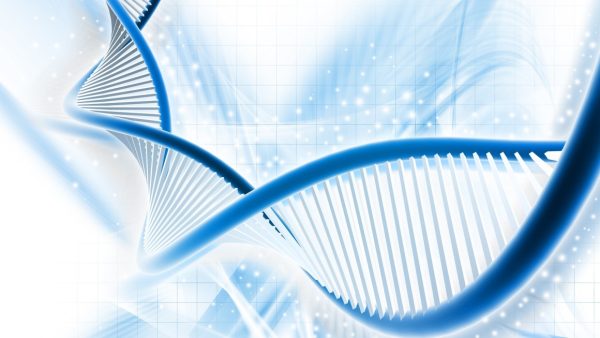 The Effect of Cationic Lipids on Delivering siRNA to Liver by Injection