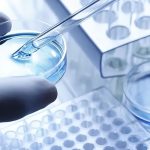 The Development of PEG Modified Small Molecule Drugs