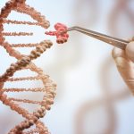 Highly Selective Fluorescence Assay for Phosphatidylserine Decarboxylase (PSD)  Activity Measurement