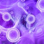 PEG-TRAIL-vcMMAE Conjugate: A Viable Strategy for Therapeutics and Drug Delivery