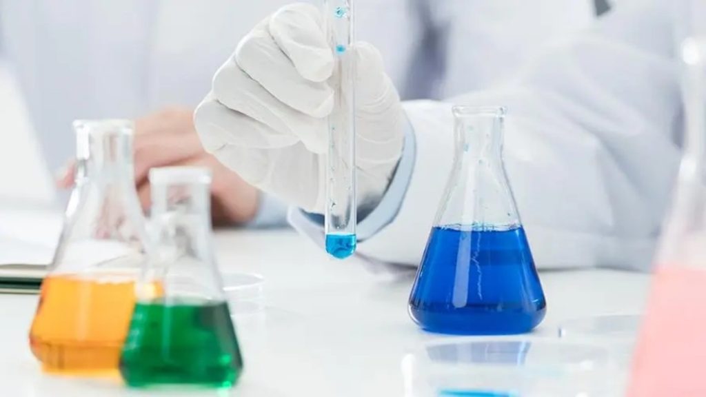 The Impact of Lipidome on Renal Cell Carcinoma Treatment