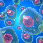 L-Arginine (L-Arg) Depletion in Long-term Cancer Therapy