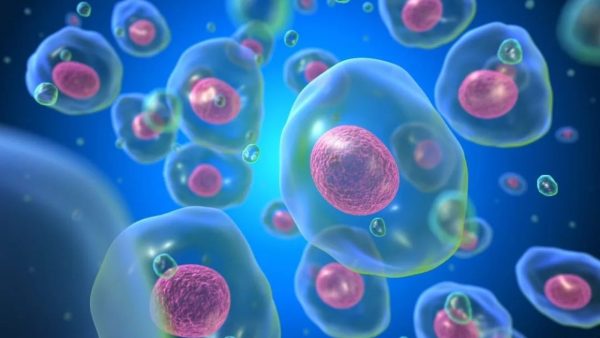 L-Arginine (L-Arg) Depletion in Long-term Cancer Therapy
