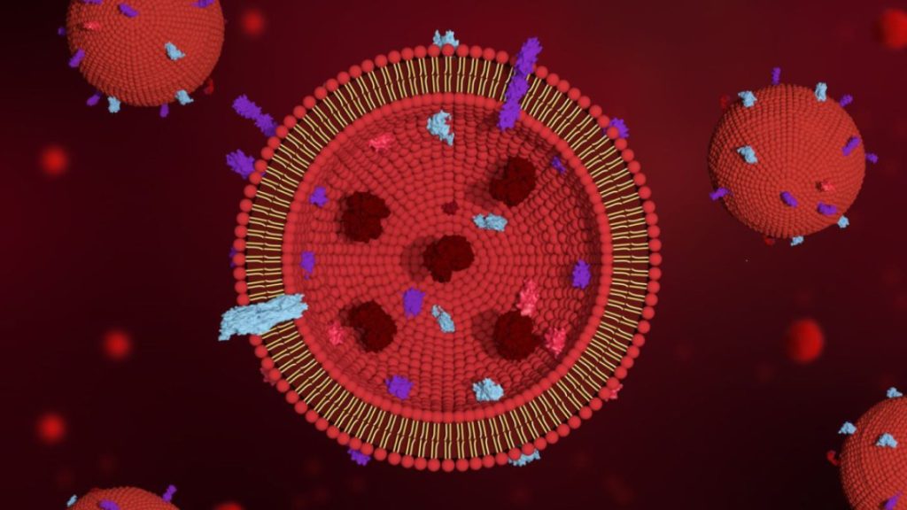 The Possibility of SiNcOH-DSPE-PEG(NH2) NPs on Imaging-Guided Combination Cancer Therapy