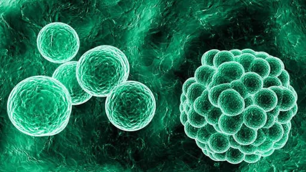 A New Nanosystem Designed for the Advancement of Future Anti-cancer Treatment