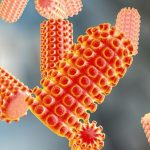 Oxidized Lipids in H2O2 Permeation Through a Lipid Membrane