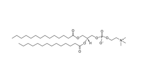 1,2-Dimyristoyl-sn-glycero-3-phosphocholine (DMPC)
