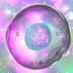 The Role of C24:00 and C24:1 Sphingolipids in Cholesteral-Containing Multicomponent Membranes