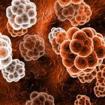 The Combined Application of pSar and DOTMA for Drug Delivery