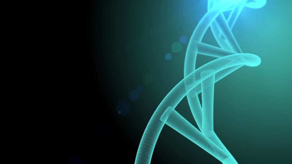 The Relationship Between the Sex-Based Difference in Insulin Sensitivity and Acylcarnitine