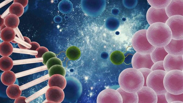How Can Chemical/Genetic Drug-Loaded Polymeric Micelles Used in Liver Fibrosis Treatment