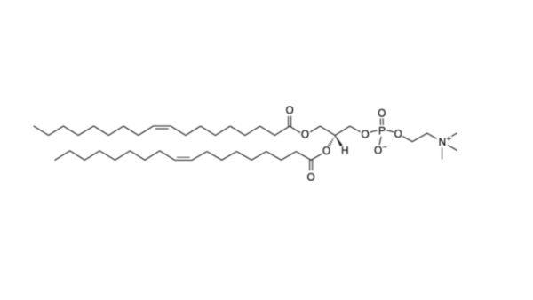 1,2-dioleoyl-sn-glycero-3-phosphocholine (DOPC)