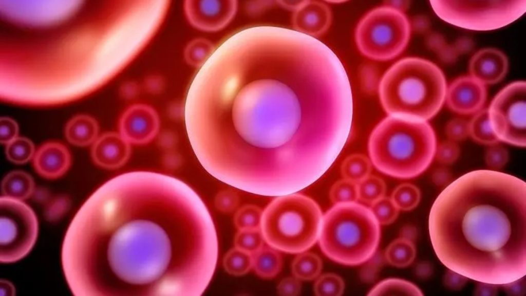 Platinum(IV) Prodrug Conjugated Pd@Au Nanoplates (Pd@Au-PEG-Pt) for Cancer Therapy