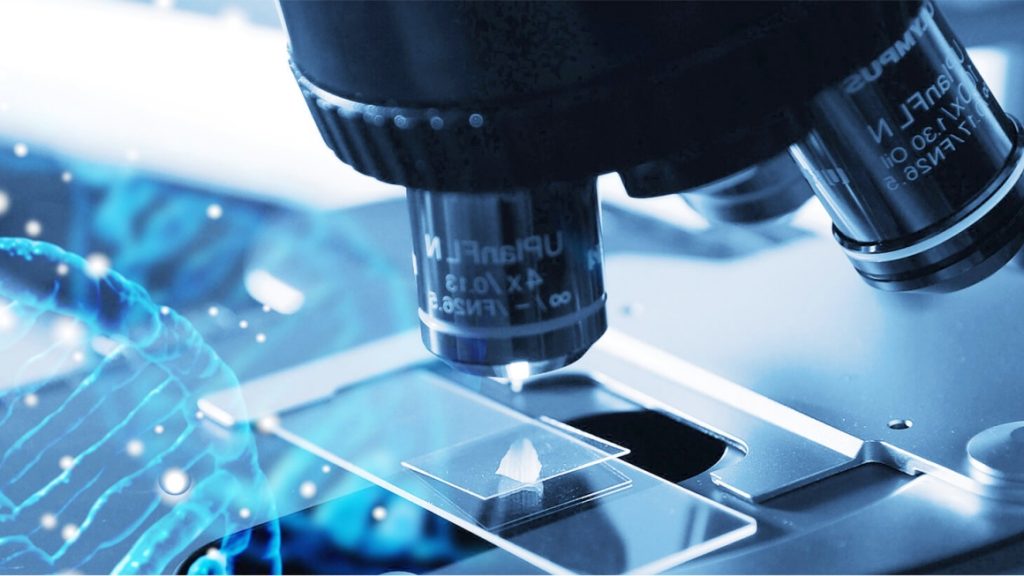 The Introduction of Pd@Pt-PEG-Ce6: A Promising Platform for Enhanced Photodynamic Therapy