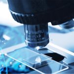 The Introduction of Pd@Pt-PEG-Ce6: A Promising Platform for Enhanced Photodynamic Therapy