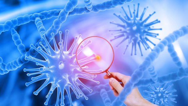 The Activation of Mitochondria Apoptosis Pathway for Cancer Therapy by Co-develiery of siRNA and Lonidamine