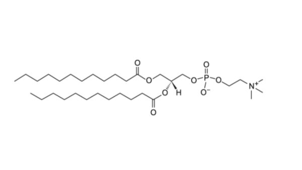 1,2-didodecanoyl-sn-glycero-3-phosphocholine (DLPC)