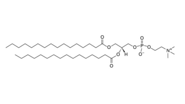 1,2-dipalmitoyl-sn-glycero-3-phosphocholine (DPPC)