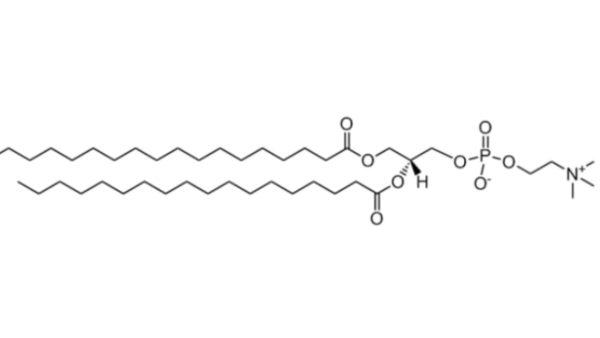 1,2-distearoyl-sn-glycero-3-phosphocholine (DSPC)