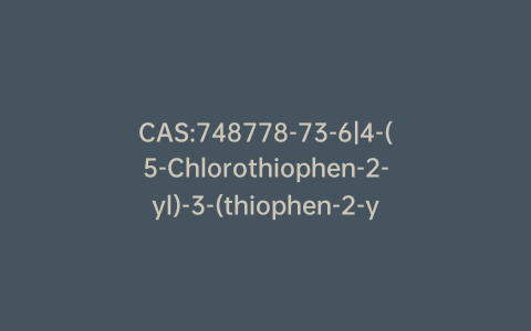 CAS:748778-73-6|4-(5-Chlorothiophen-2-yl)-3-(thiophen-2-yl)-2,5-dihydrofuran-2-one