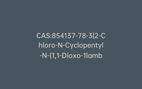 CAS:854137-78-3|2-Chloro-N-Cyclopentyl-N-(1,1-Dioxo-1lambda6-Thiolan-3-Yl)Acetamide