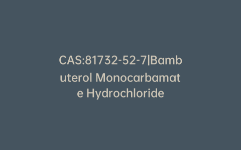 CAS:81732-52-7|Bambuterol Monocarbamate Hydrochloride
