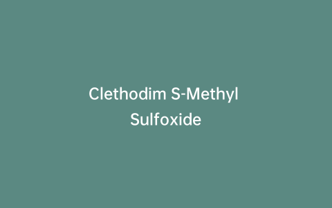 Clethodim S-Methyl Sulfoxide