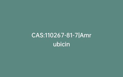CAS:110267-81-7|Amrubicin