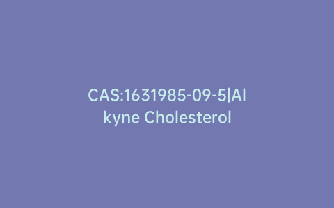 CAS:1631985-09-5|Alkyne Cholesterol