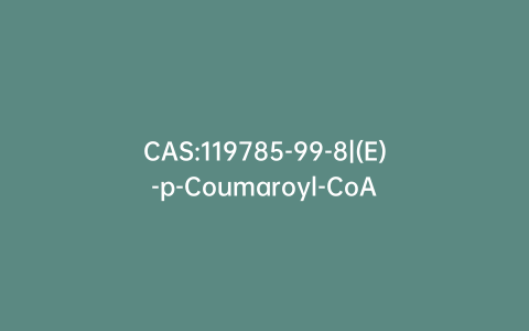 CAS:119785-99-8|(E)-p-Coumaroyl-CoA