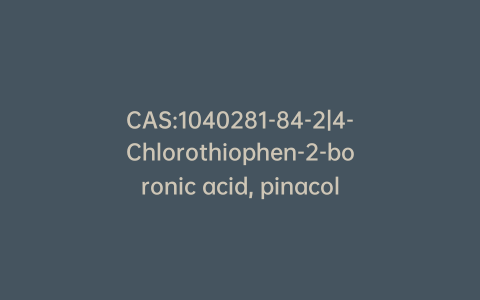 CAS:1040281-84-2|4-Chlorothiophen-2-boronic acid, pinacol ester