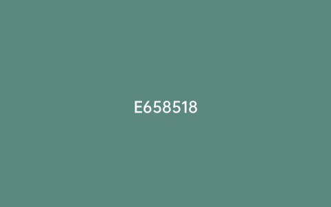 E658518