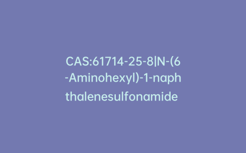 CAS:61714-25-8|N-(6-Aminohexyl)-1-naphthalenesulfonamide Hydrochloride