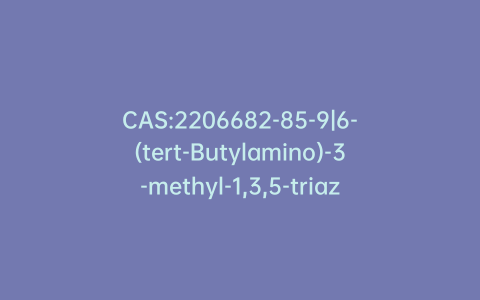CAS:2206682-85-9|6-(tert-Butylamino)-3-methyl-1,3,5-triazine-2,4(1H,3H)-dione