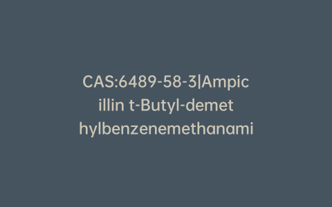 CAS:6489-58-3|Ampicillin t-Butyl-demethylbenzenemethanamine