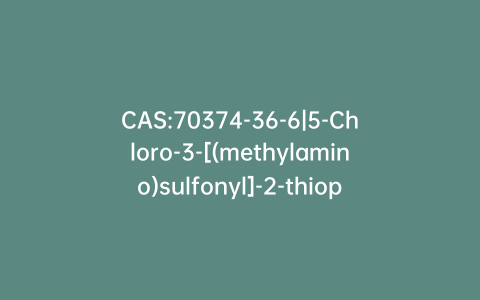 CAS:70374-36-6|5-Chloro-3-[(methylamino)sulfonyl]-2-thiophenecarboxylic Acid