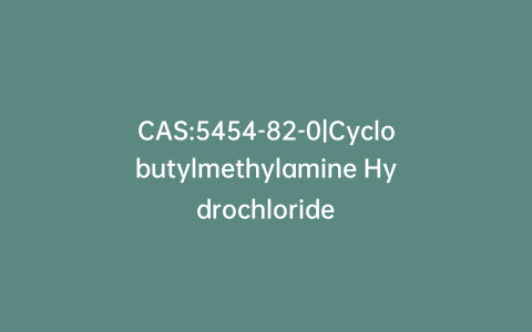 CAS:5454-82-0|Cyclobutylmethylamine Hydrochloride