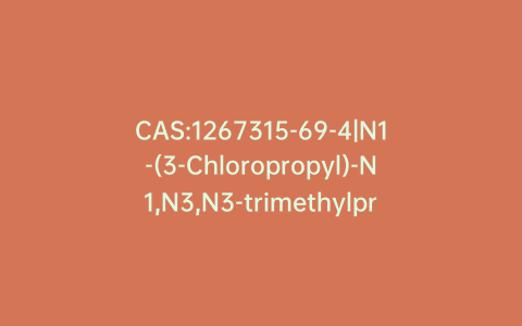 CAS:1267315-69-4|N1-(3-Chloropropyl)-N1,N3,N3-trimethylpropane-1,3-diamine