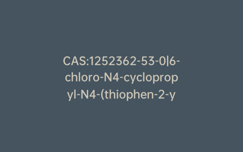 CAS:1252362-53-0|6-chloro-N4-cyclopropyl-N4-(thiophen-2-ylmethyl)pyrimidine-2,4-diamine