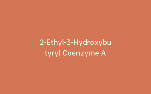 2-Ethyl-3-Hydroxybutyryl Coenzyme A