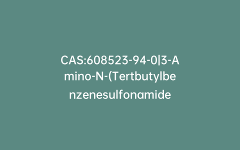 CAS:608523-94-0|3-Amino-N-(Tertbutylbenzenesulfonamide