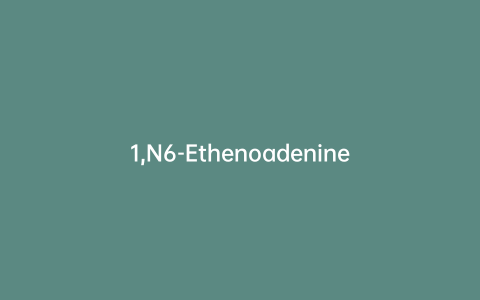 1,N6-Ethenoadenine