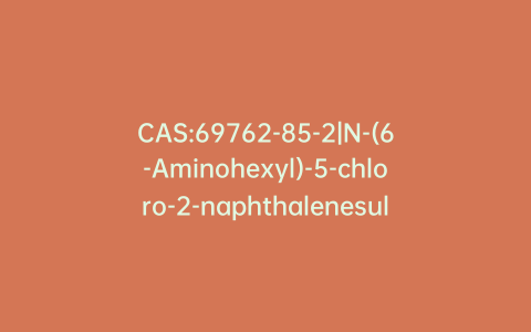CAS:69762-85-2|N-(6-Aminohexyl)-5-chloro-2-naphthalenesulfonamide Hydrochloride