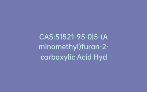 CAS:51521-95-0|5-(Aminomethyl)furan-2-carboxylic Acid Hydrochloride