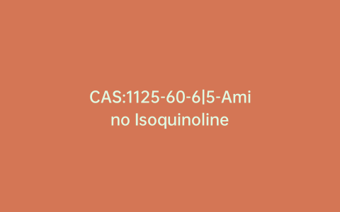 CAS:1125-60-6|5-Amino Isoquinoline