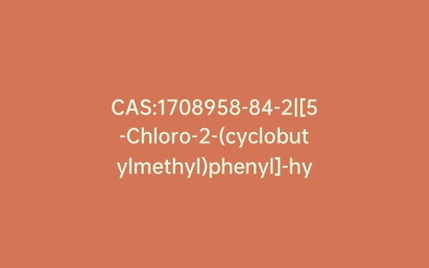 CAS:1708958-84-2|[5-Chloro-2-(cyclobutylmethyl)phenyl]-hydrazine