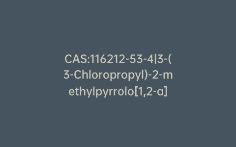 CAS:116212-53-4|3-(3-Chloropropyl)-2-methylpyrrolo[1,2-a]pyrazin-1(2H)-one