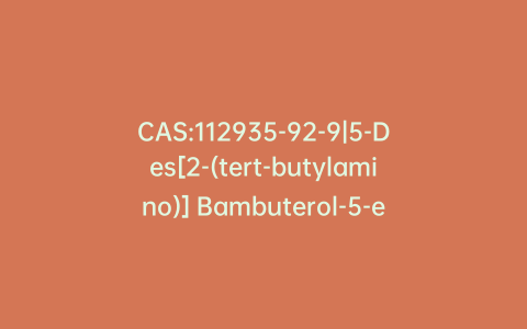 CAS:112935-92-9|5-Des[2-(tert-butylamino)] Bambuterol-5-ethylenediol