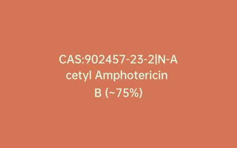 CAS:902457-23-2|N-Acetyl Amphotericin B (~75%)